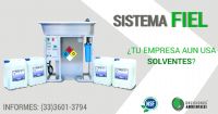 Sistema FIEL